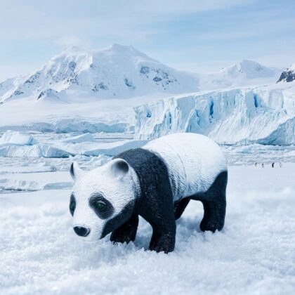 Yumuşak Soft Sesli Vahşi Hayvanlar Dünyası 27 cm - Panda