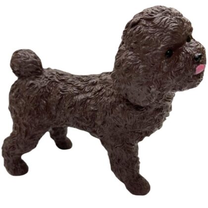 Soft Köpekler - Poodle Cinsi Köpek - E013